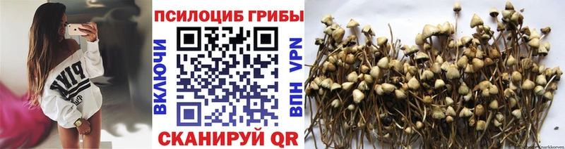 Псилоцибиновые грибы прущие грибы Пыталово