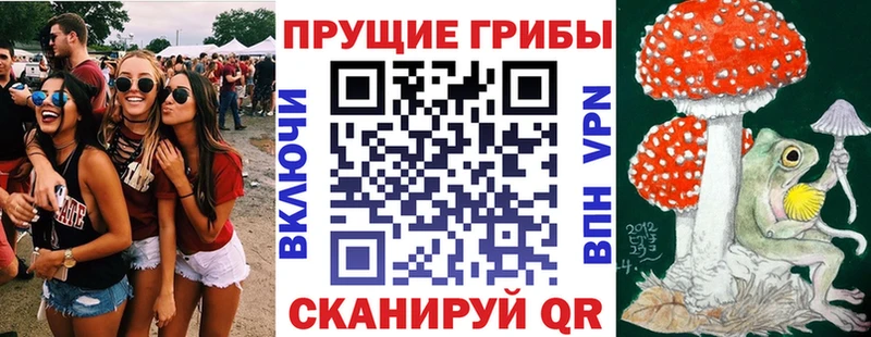 Галлюциногенные грибы ЛСД  закладки  Пыталово 
